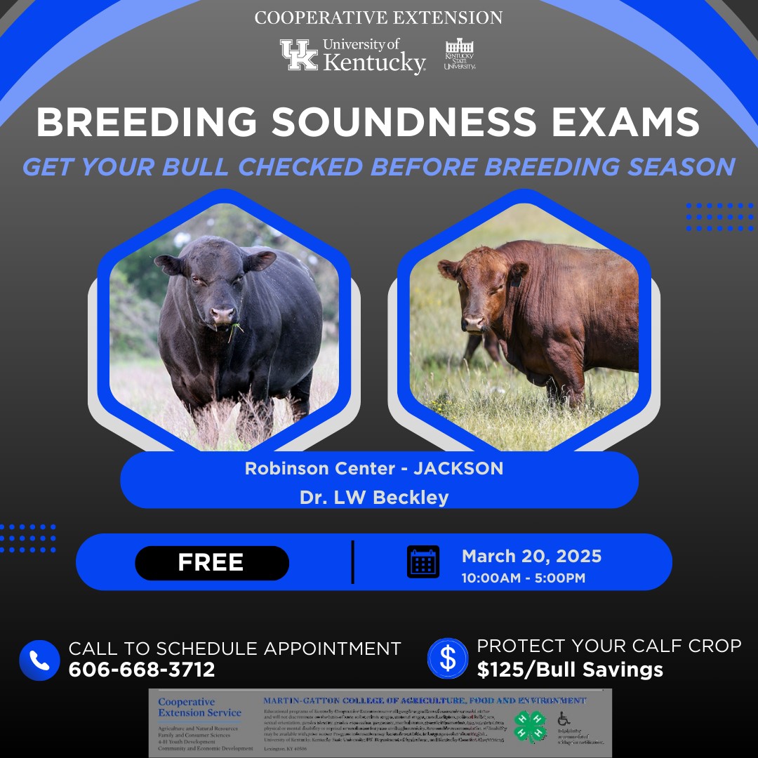 Breeding Soundness Exams at Robinson Center, Jackson, KY 