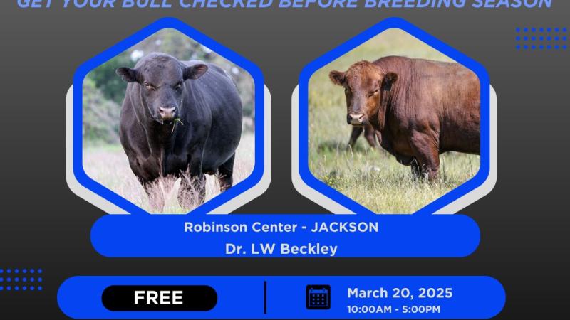 Breeding Soundness Exams at Robinson Center, Jackson, KY 